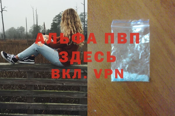 соль ск Арсеньев